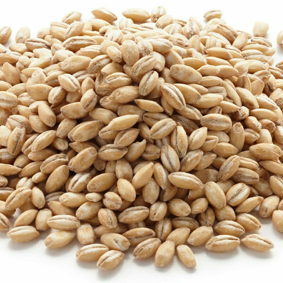 Barley Flour ( Pearl Barley ) 500 gm