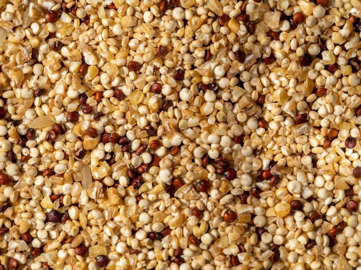 Quinoa seeds 500 gm