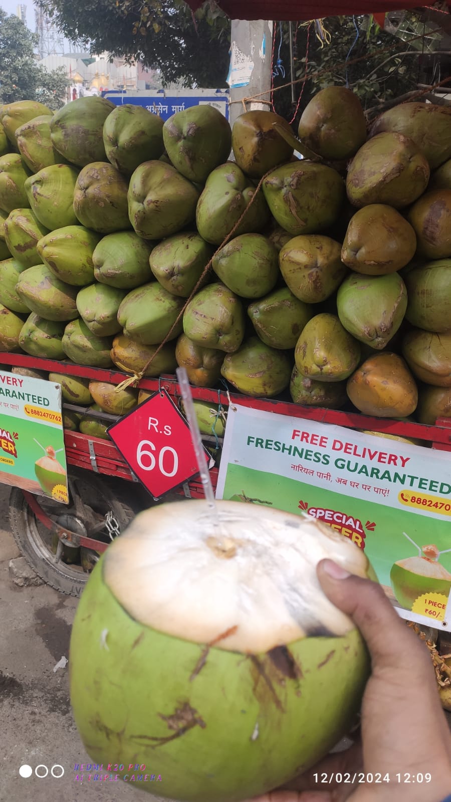 Coconut Water