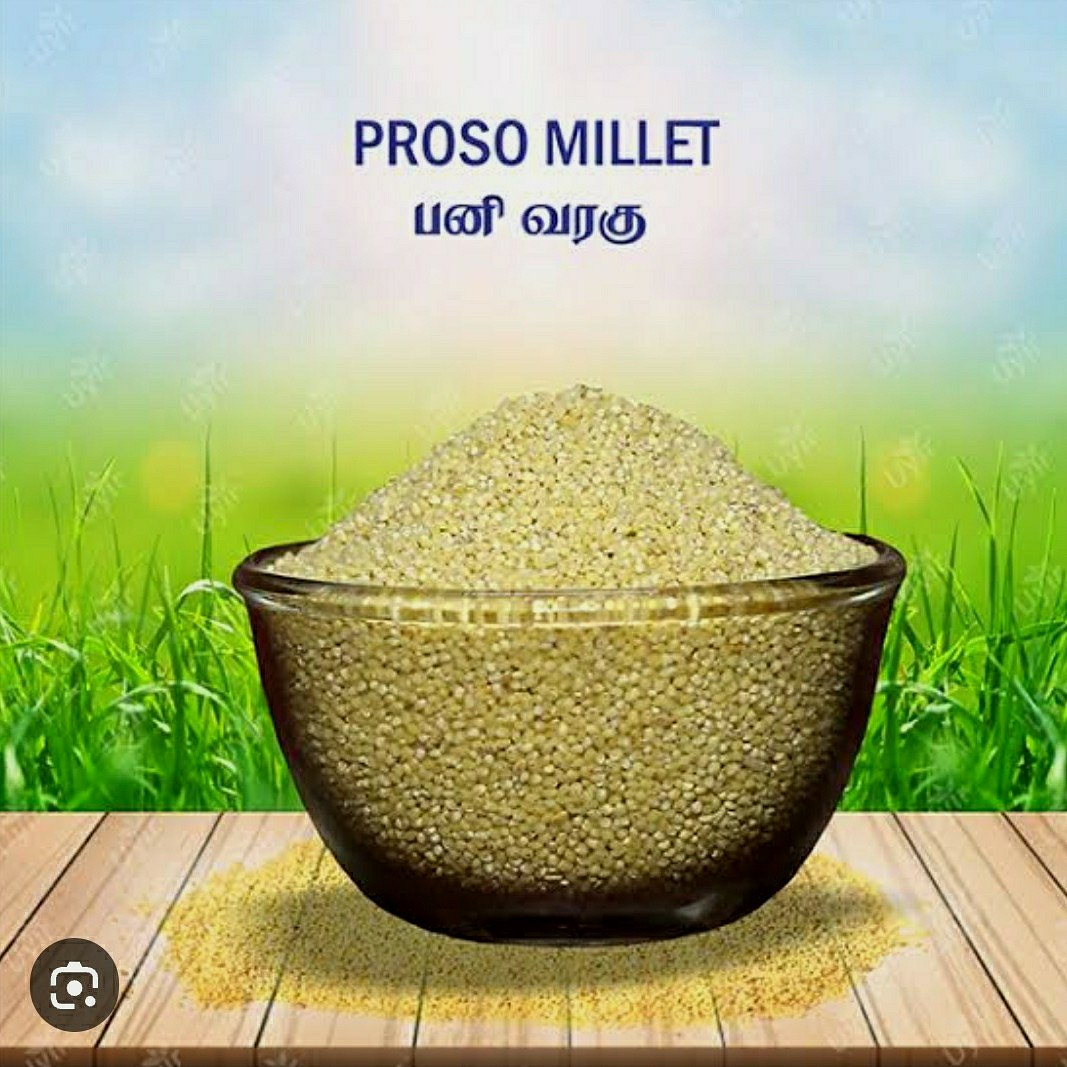 Proso millet 500 gm